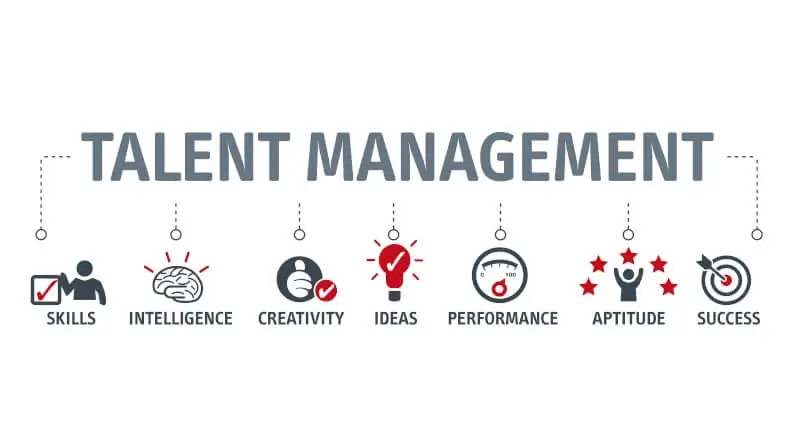 Gestin del talento: la clave para una empresa ms competitiva