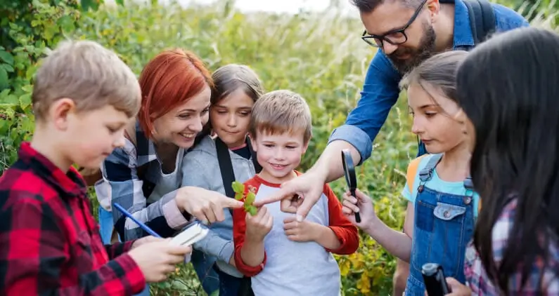 Seguro de responsabilidad civil por das: cundo contratarlo?