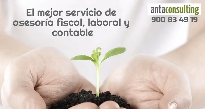 Aut�nomos 2019: cuotas durante la baja y cambios de Real Decreto-ley 28/2018