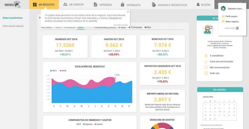 Ayuda a la toma de decisiones, el siguiente paso de la asesoría online Ayuda a la toma de decisiones, el siguiente paso de la asesoría online