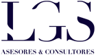 LGS Asesores y Consultores LGS Asesores y Consultores