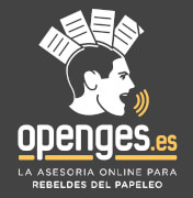 OpenGes OpenGes