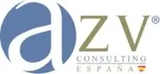 AZV Consulting