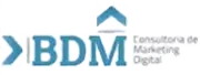 BDM Marketing Digital