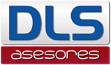DLS ASESORES DLS ASESORES
