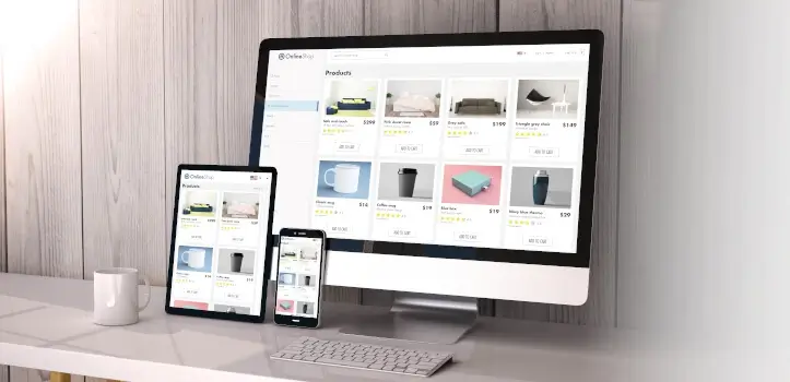 Ecommerce profesional