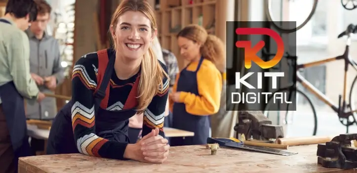 Gestin del Kit Digital