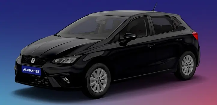 Renting de Seat Ibiza