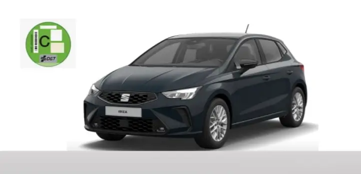 Renting de Seat Ibiza 1.0 TSI