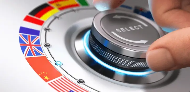 Traduccin y servicios lingsticos