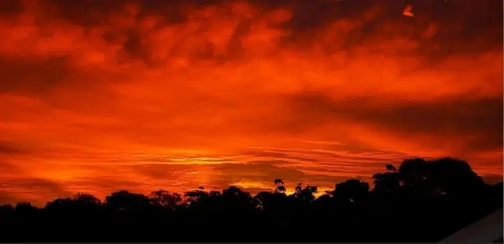 																Mantenimiento contra incendios				