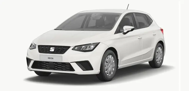 Renting de Seat Ibiza