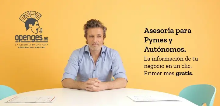 Asesor�a y gestor�a online todo incluido para pymes