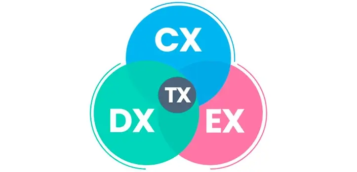 Sesin de Consultora Gratuita