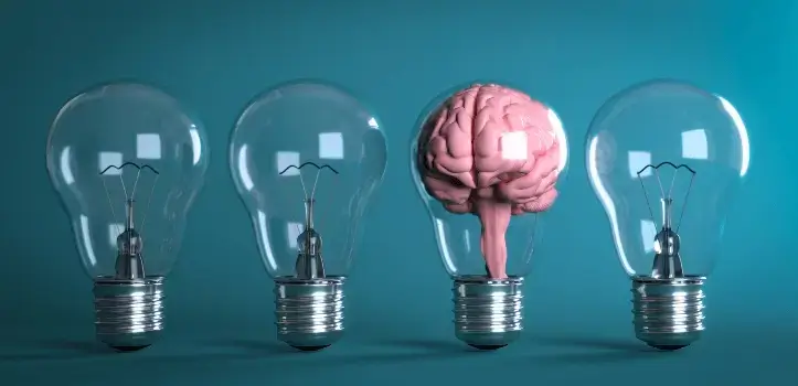 Registro de marcas y patentes